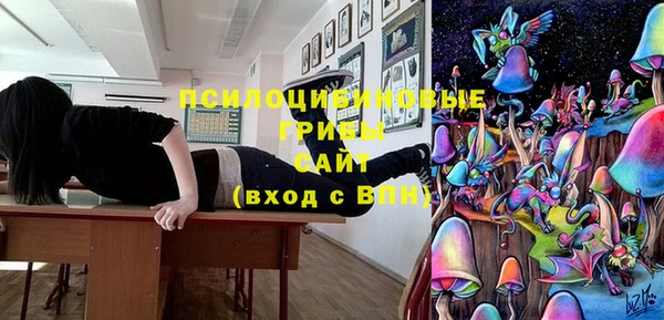 молекула духа Лиски