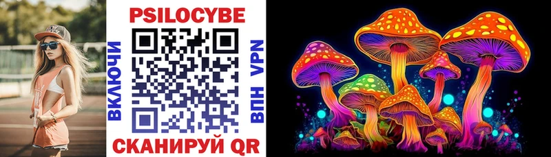 цена   Пошехонье  Псилоцибиновые грибы Magic Shrooms 